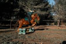 Emilie PICCA - LA PHOTOGRAPHE DU SUD